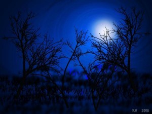 Night